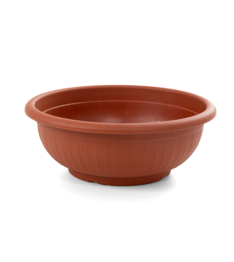 Capri Bowl