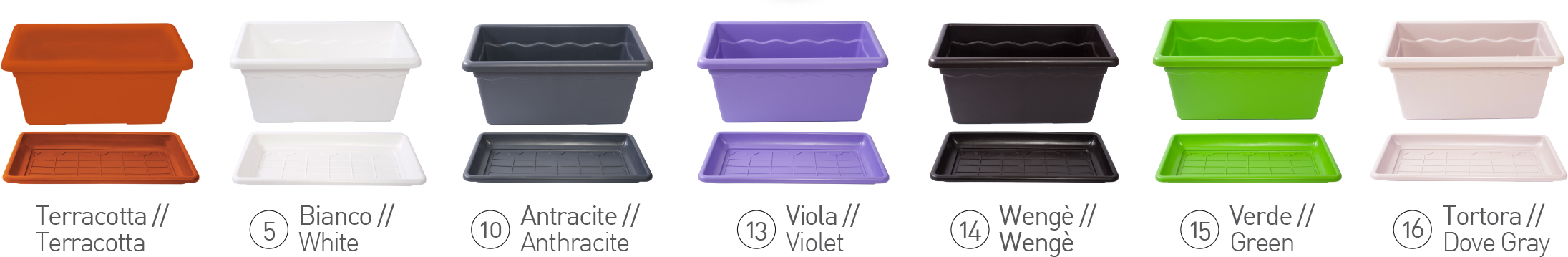 VulcanoFiorieraColori